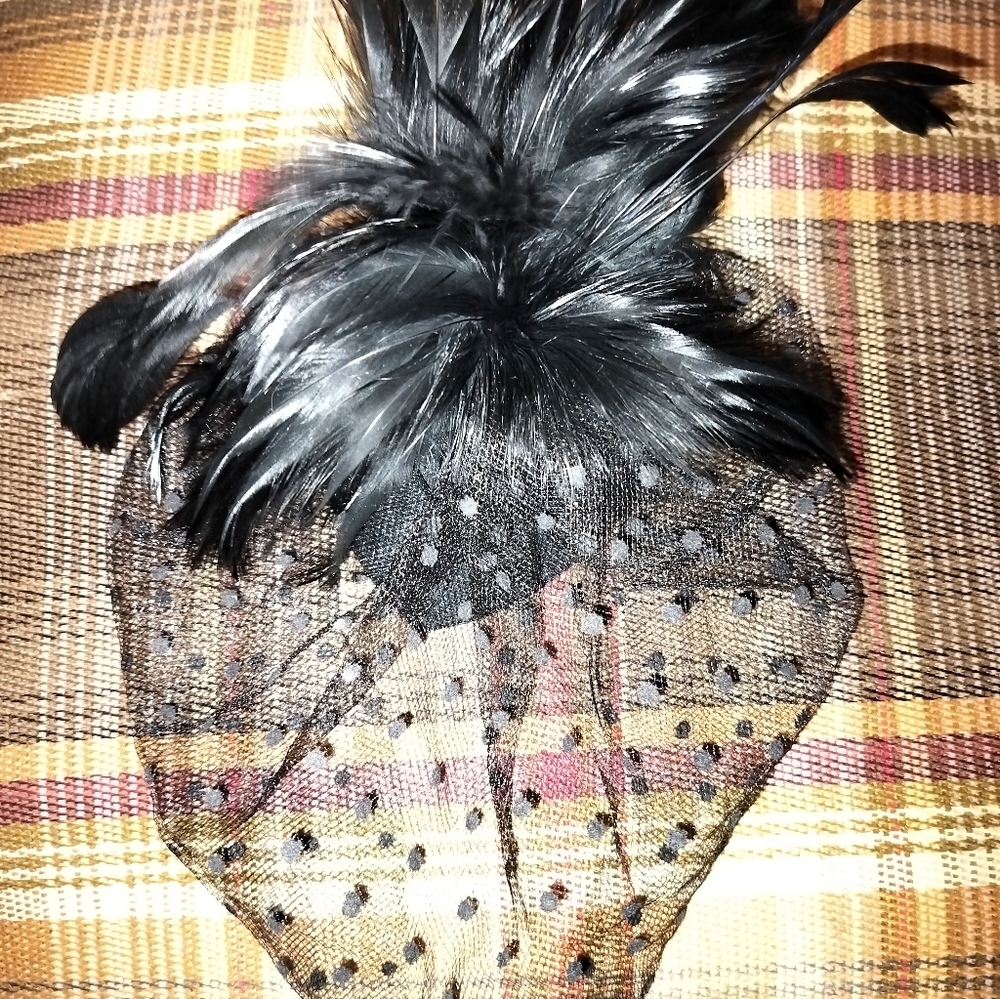 @@@ Beautiful Black Feather Fascinator